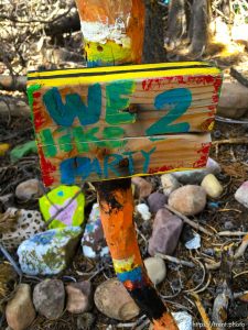 fairy forest, Monday August 8, 2016.