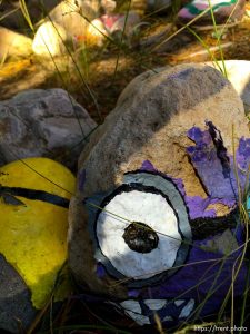 fairy forest, Monday August 8, 2016.