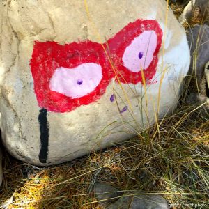 fairy forest, Monday August 8, 2016.