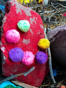 fairy forest, Monday August 8, 2016.