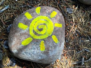 fairy forest, Monday August 8, 2016.