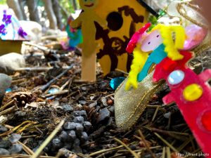 fairy forest, Monday August 8, 2016.