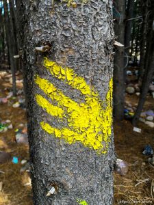 fairy forest, Monday August 8, 2016.