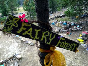 fairy forest, Monday August 8, 2016.