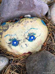 fairy forest, Monday August 8, 2016.