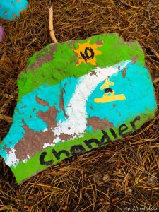 fairy forest, Monday August 8, 2016.