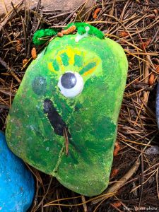 fairy forest, Monday August 8, 2016.