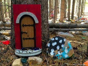 fairy forest, Monday August 8, 2016.