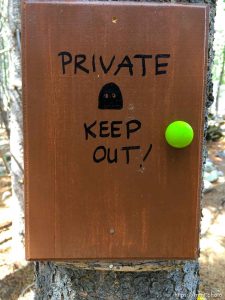 fairy forest, Monday August 8, 2016.