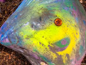 fairy forest, Monday August 8, 2016.