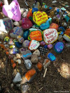 fairy forest, Monday August 8, 2016.