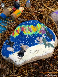 fairy forest, Monday August 8, 2016.