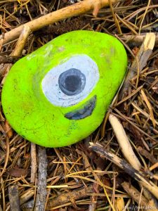 fairy forest, Monday August 8, 2016.