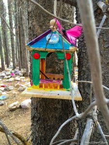 fairy forest, Monday August 8, 2016.