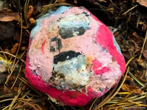 fairy forest, Monday August 8, 2016.