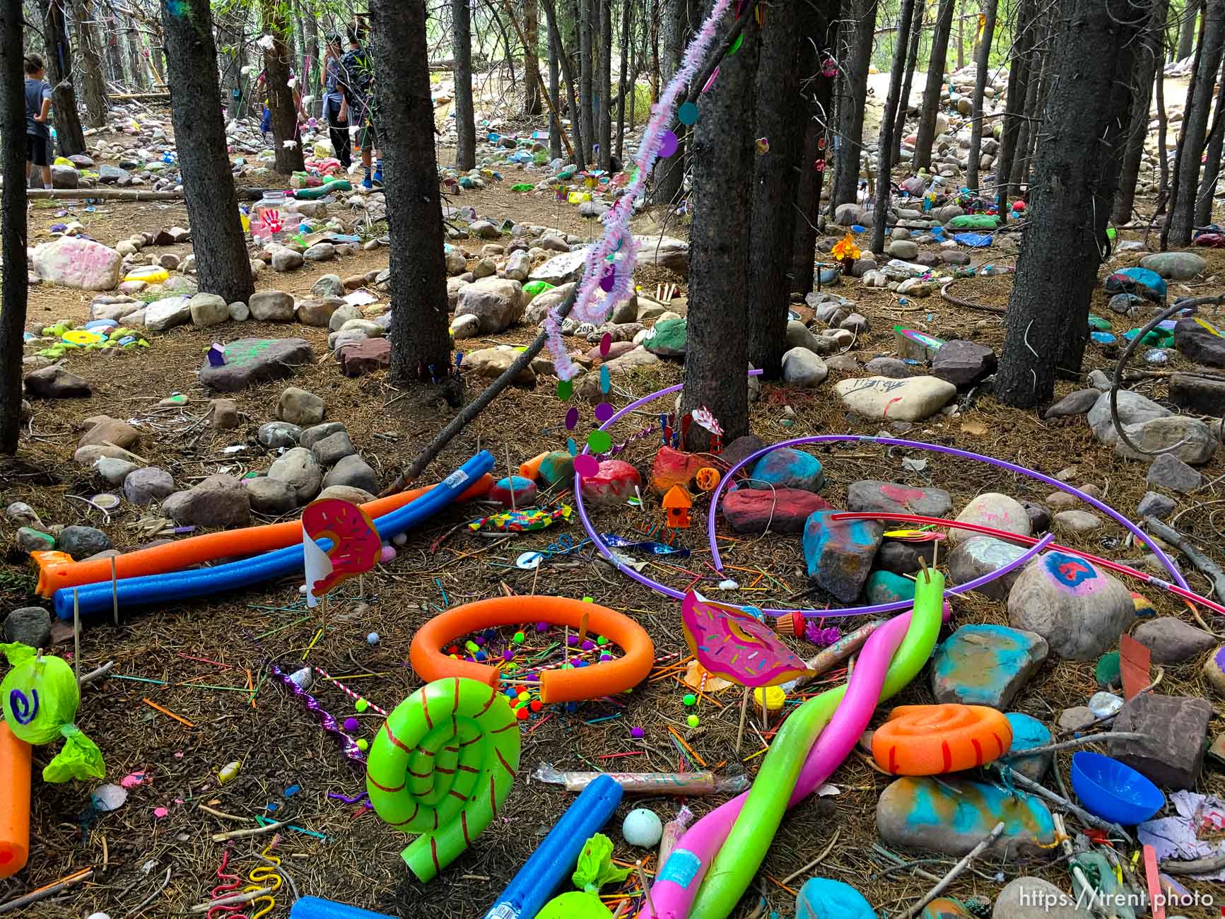 Fairy Forest