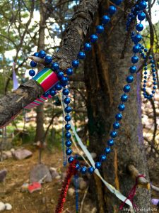 fairy forest, Monday August 8, 2016.