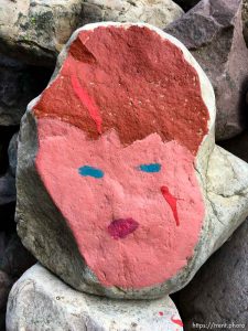 fairy forest, Monday August 8, 2016.