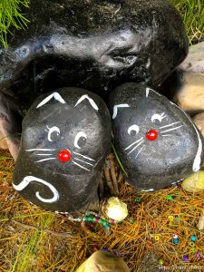 fairy forest, Monday August 8, 2016.