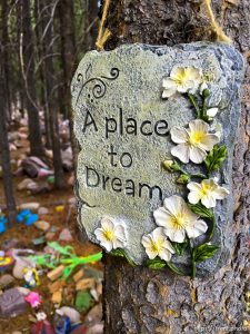 fairy forest, Monday August 8, 2016.