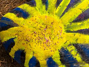 fairy forest, Monday August 8, 2016.