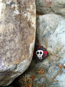 fairy forest, Monday August 8, 2016.