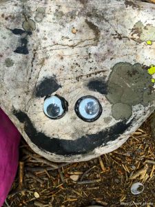 fairy forest, Monday August 8, 2016.