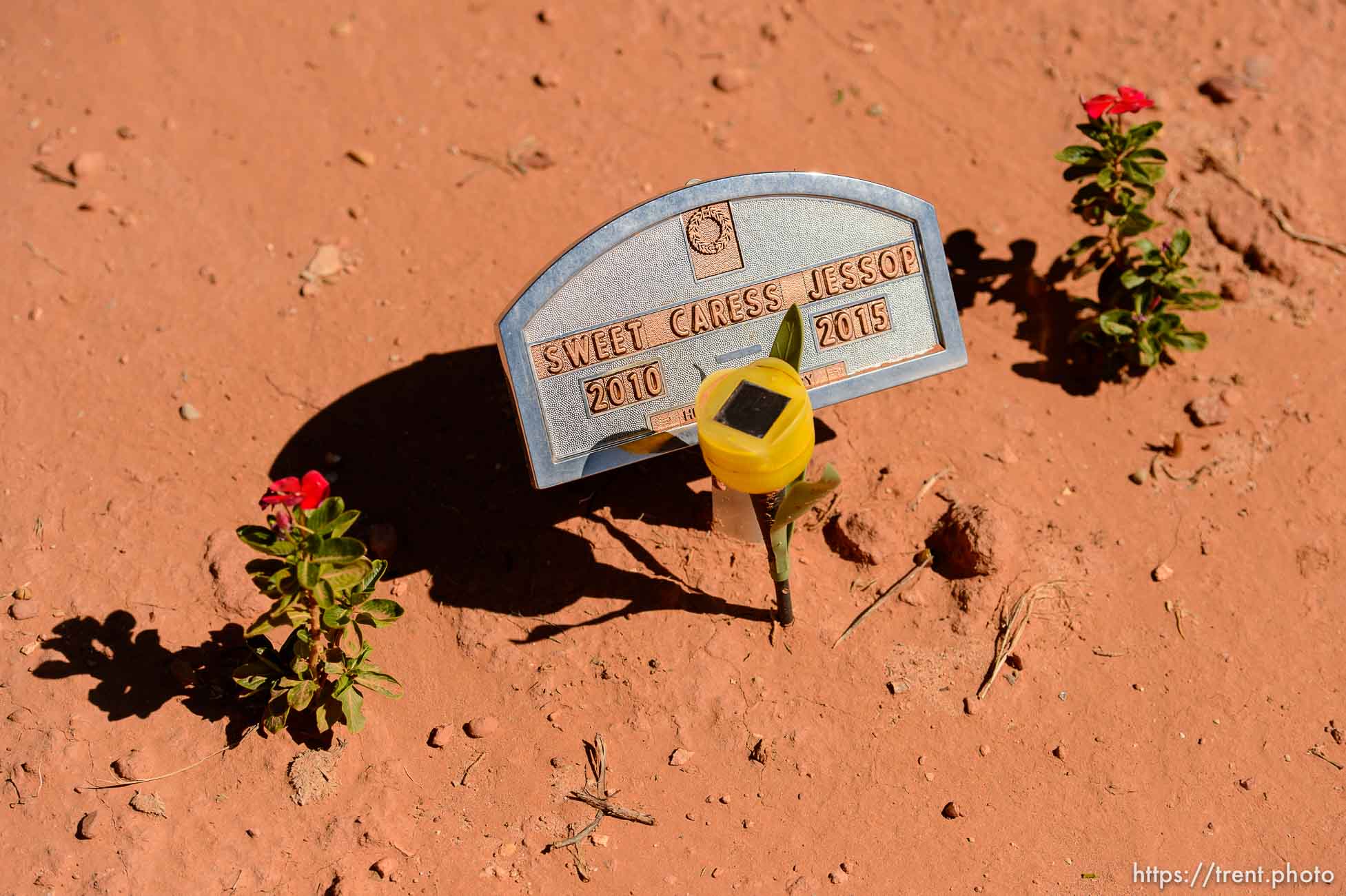 Trent Nelson  |  The Salt Lake Tribune
grave markers for jessop family victims of 2015 flash flood, isaac carling cemetery, Wednesday September 14, 2016. sweet caress jessop