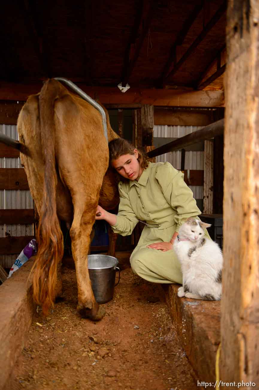 Trent Nelson  |  The Salt Lake Tribune
flds girls milking cow, Tuesday May 9, 2017.