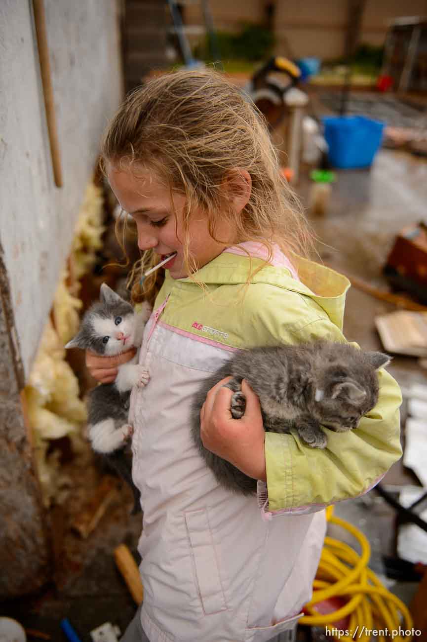 Trent Nelson  |  The Salt Lake Tribune
flds girl with with kittens, Tuesday May 9, 2017. cat