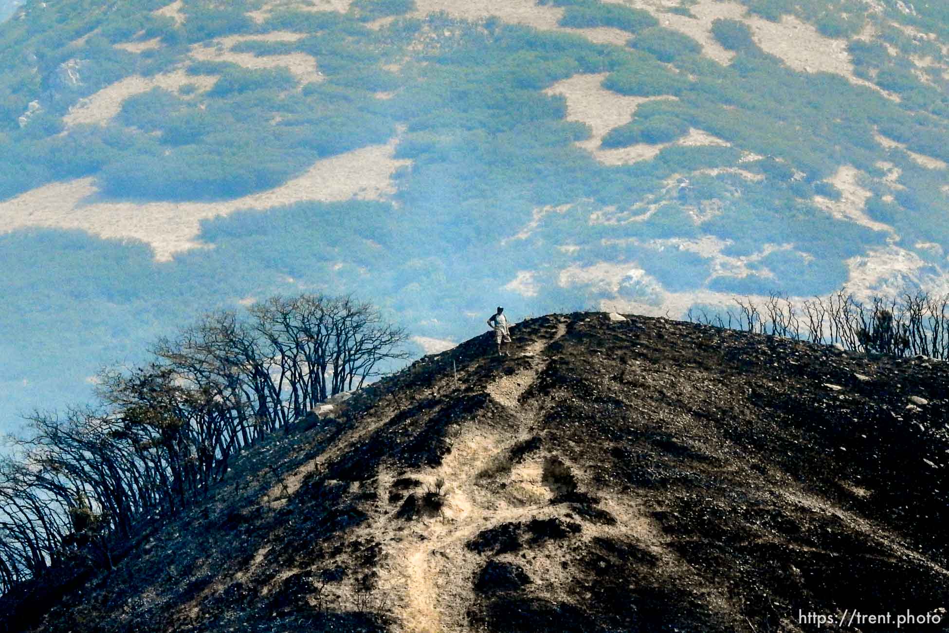 (Trent Nelson | The Salt Lake Tribune)  A man stands on a burnt hill at the mouth of Weber Canyon, Tuesday September 5, 2017.