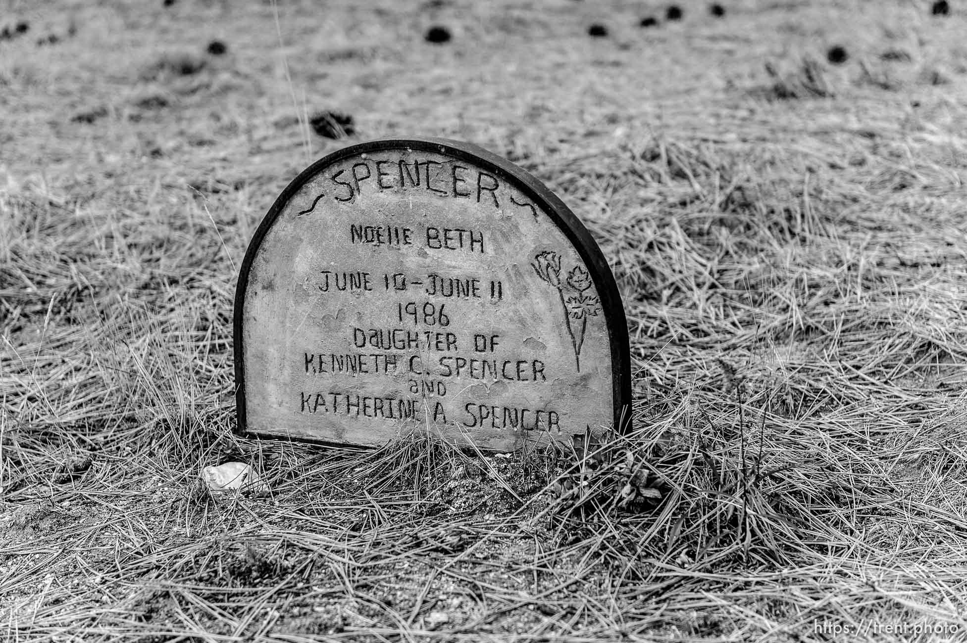 (Trent Nelson | The Salt Lake Tribune)  Noelle Beth Spencer, Cemetery, Pinesdale, Saturday September 30, 2017.