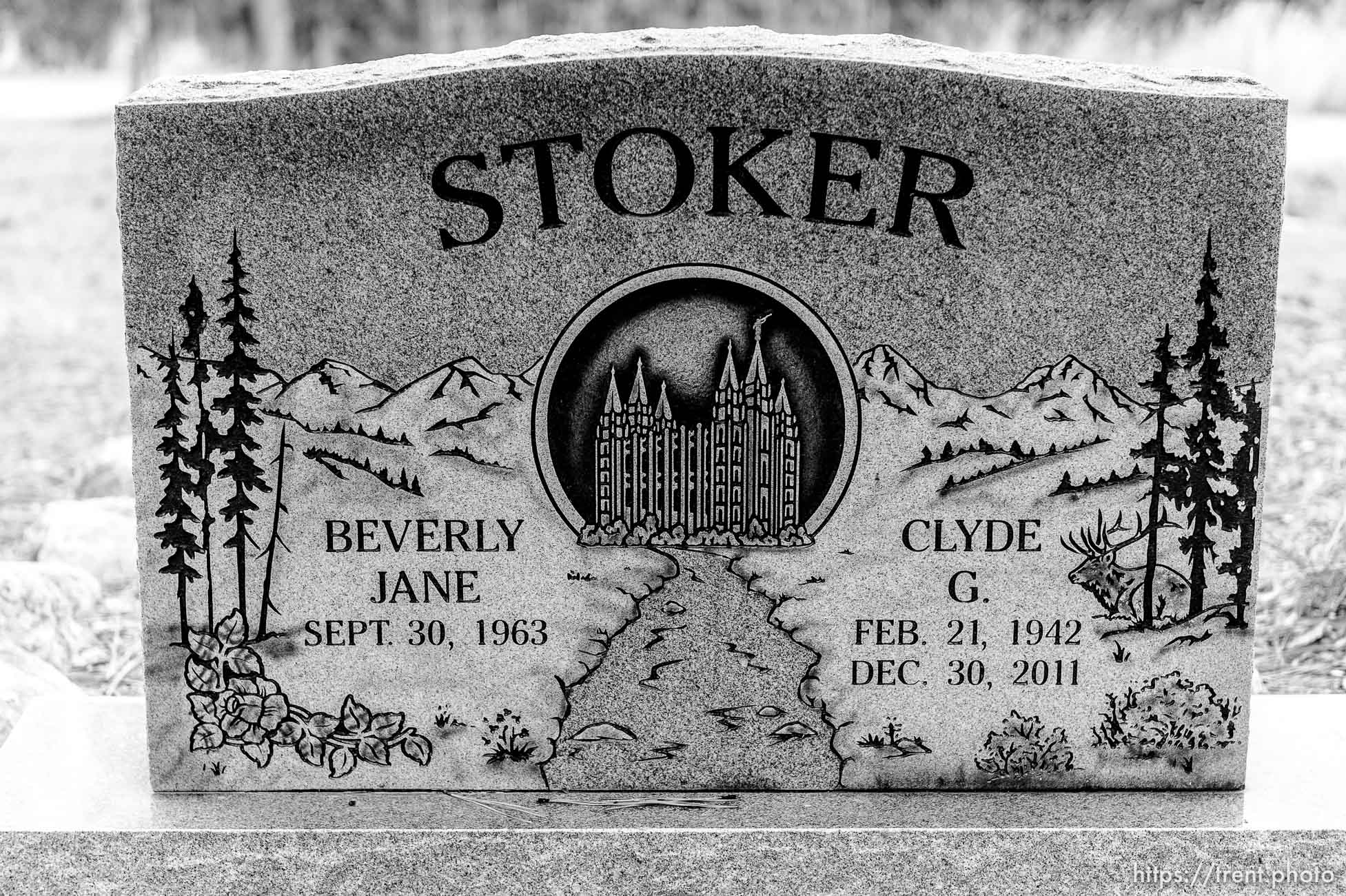 (Trent Nelson | The Salt Lake Tribune)  Stoker, Cemetery, Pinesdale, Saturday September 30, 2017.