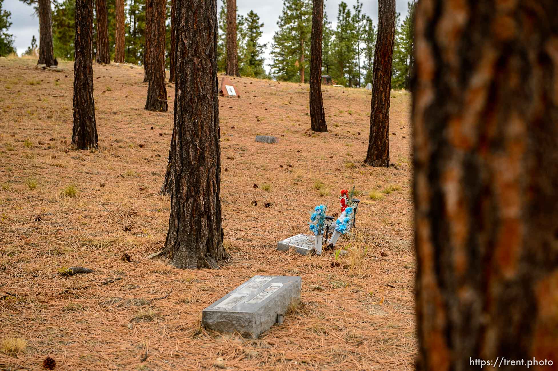 (Trent Nelson | The Salt Lake Tribune)  Cemtery, Pinesdale, Saturday September 30, 2017.