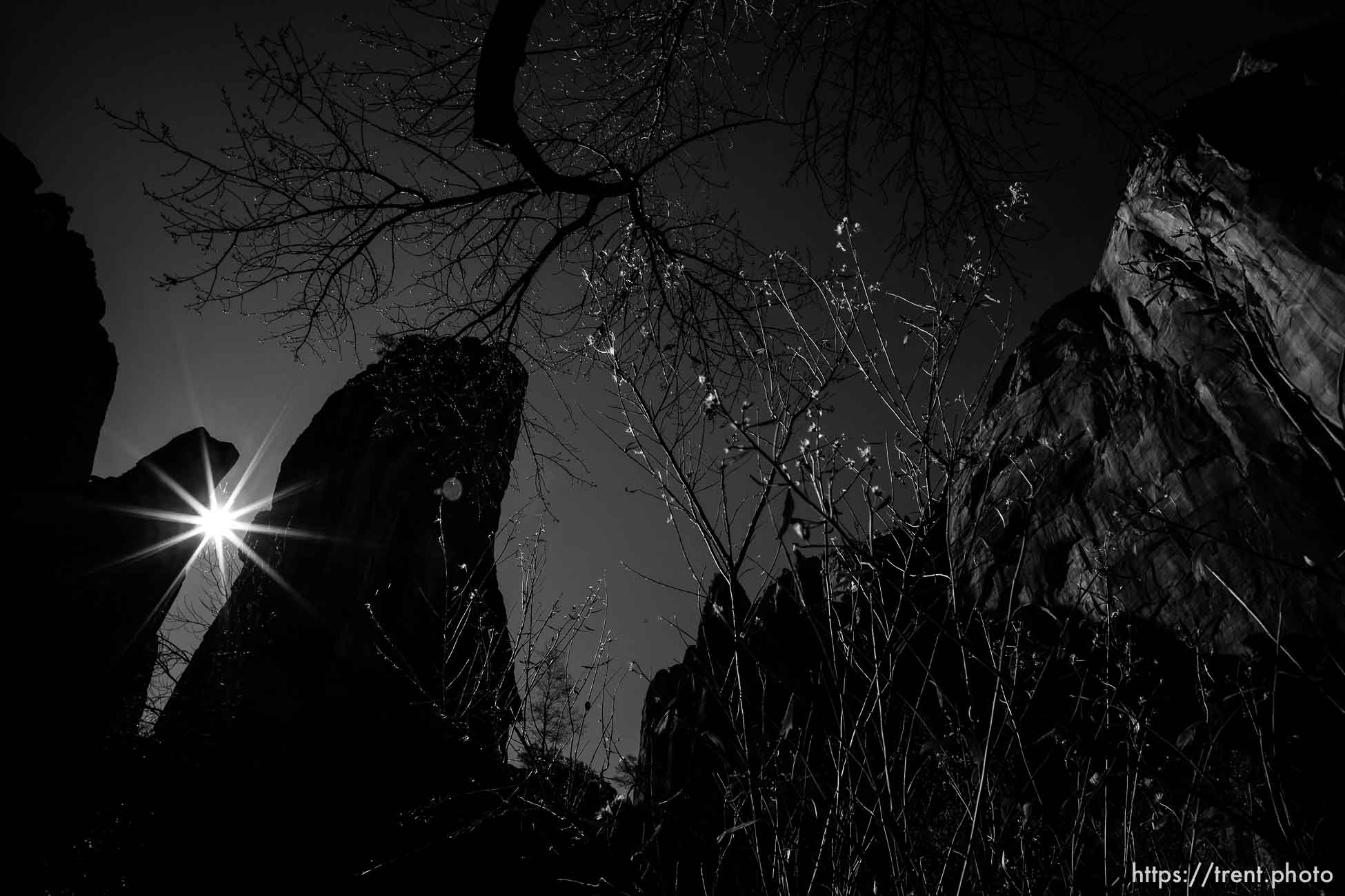 Temple of Sinawava, Zion National Park, Saturday Jan. 12, 2019.