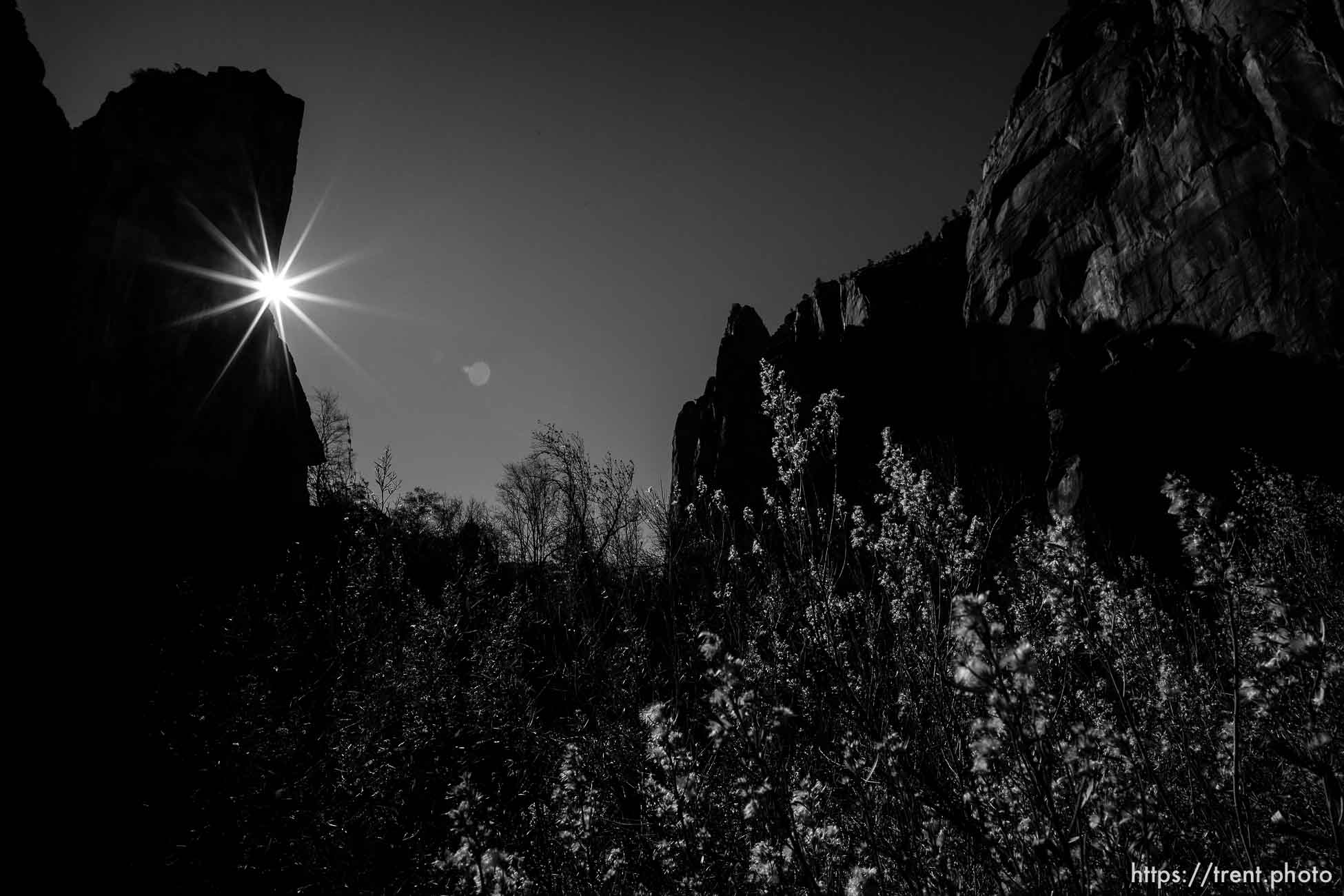 Temple of Sinawava, Zion National Park, Saturday Jan. 12, 2019.