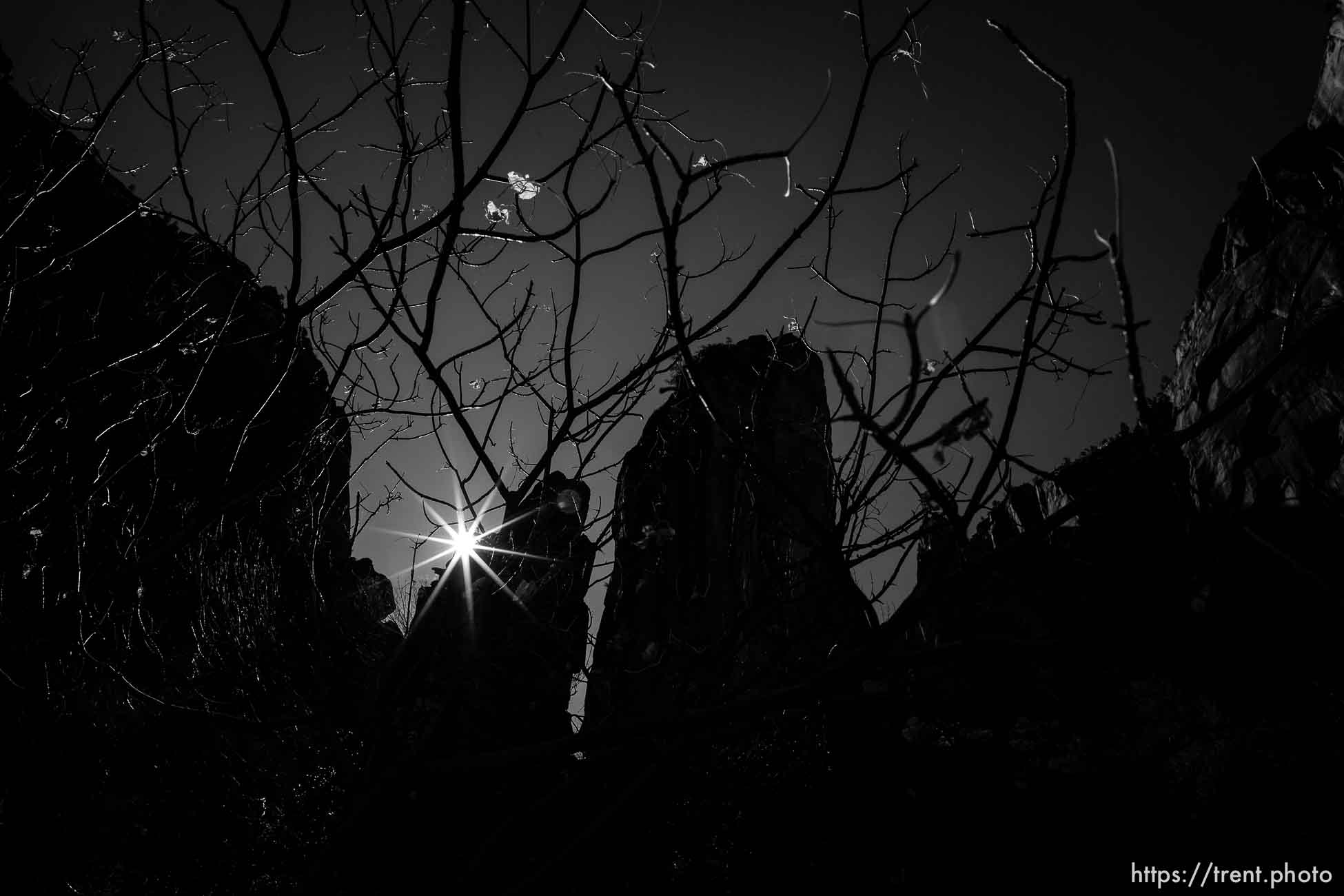 Temple of Sinawava, Zion National Park, Saturday Jan. 12, 2019.