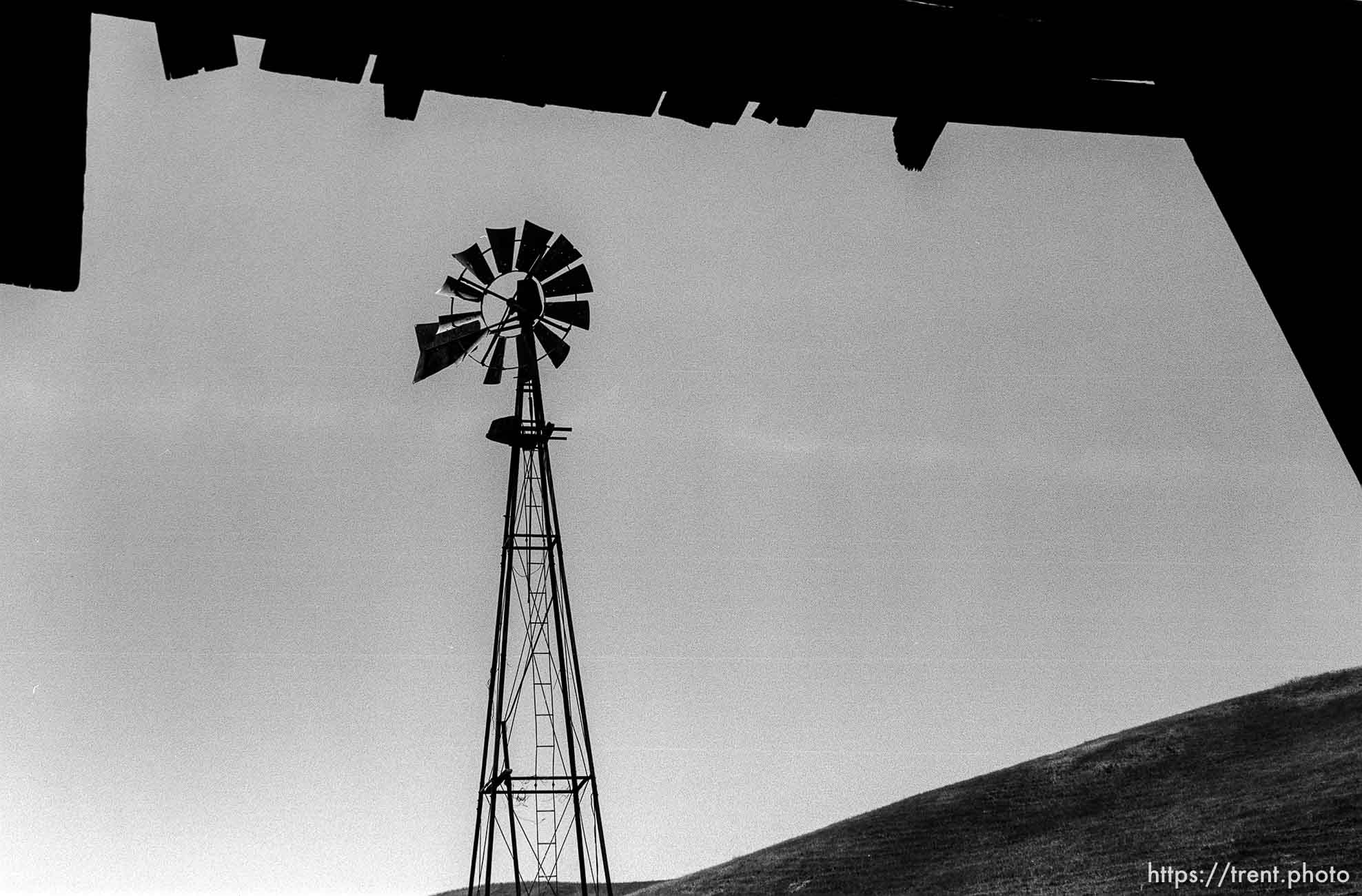 Windmill and farm on Dougherty Road.