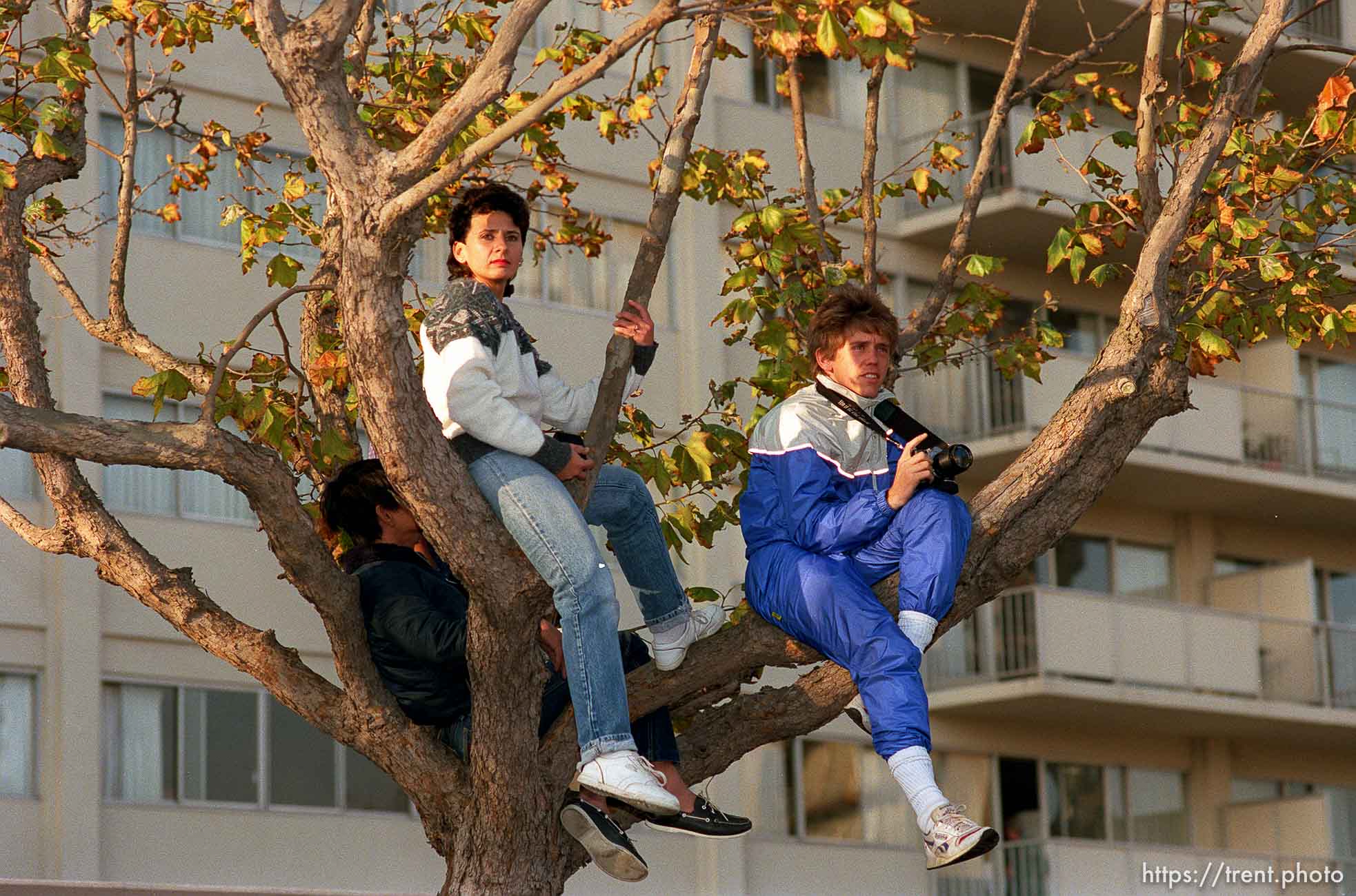 People in tree at the Pope's visit.