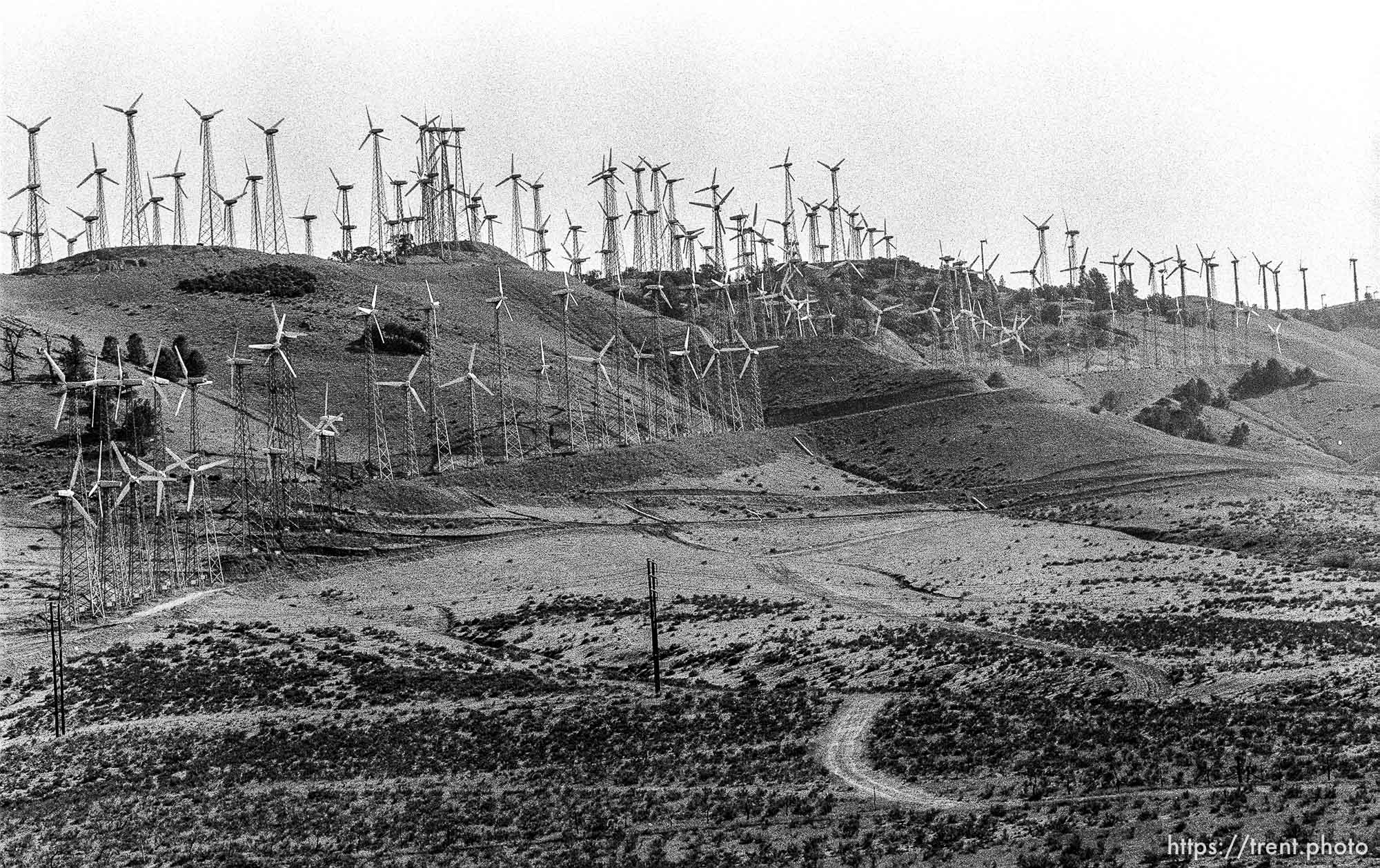 Windmills on hill outside of Mojave