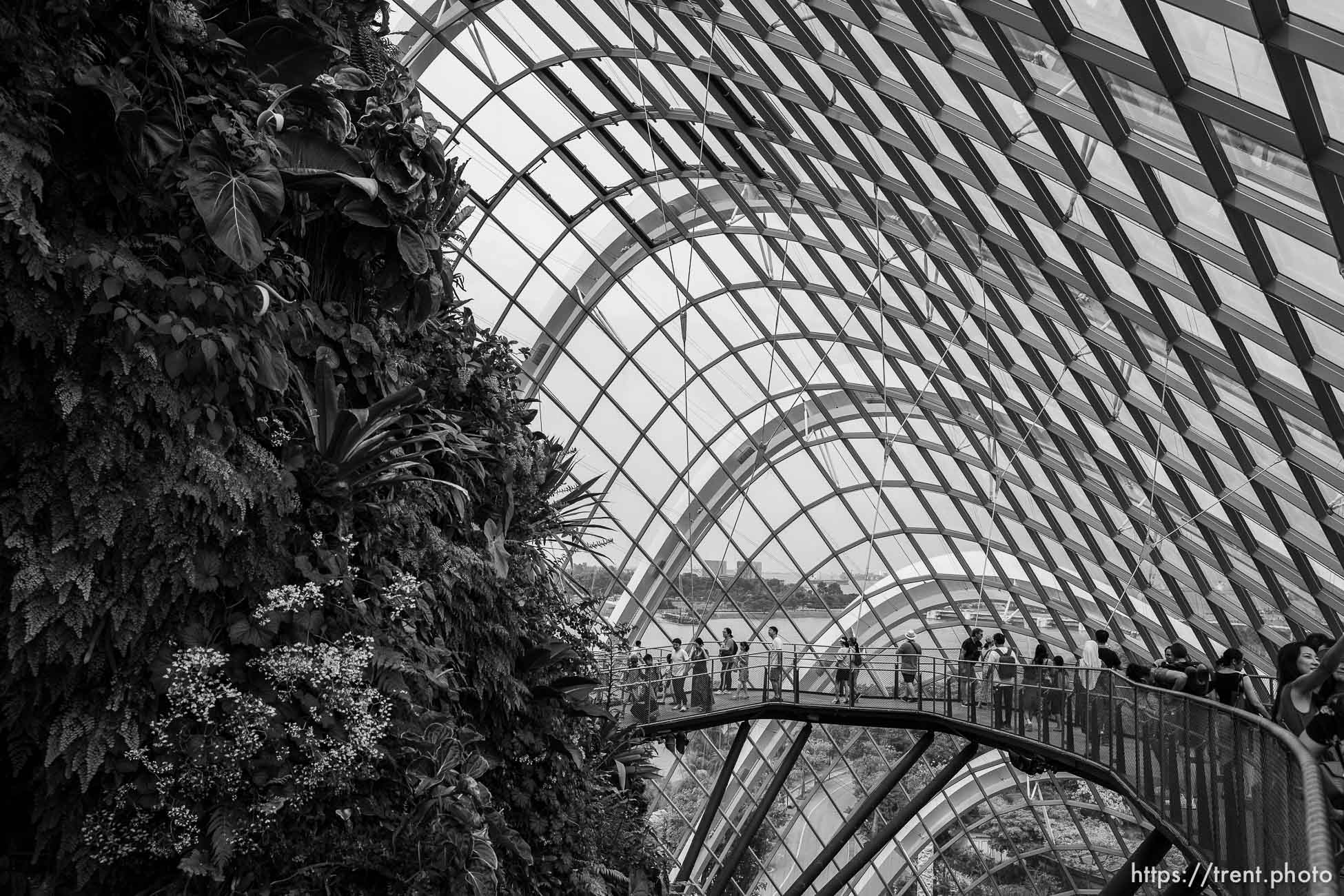 Cloud Forest, Singapore, July 21, 2019