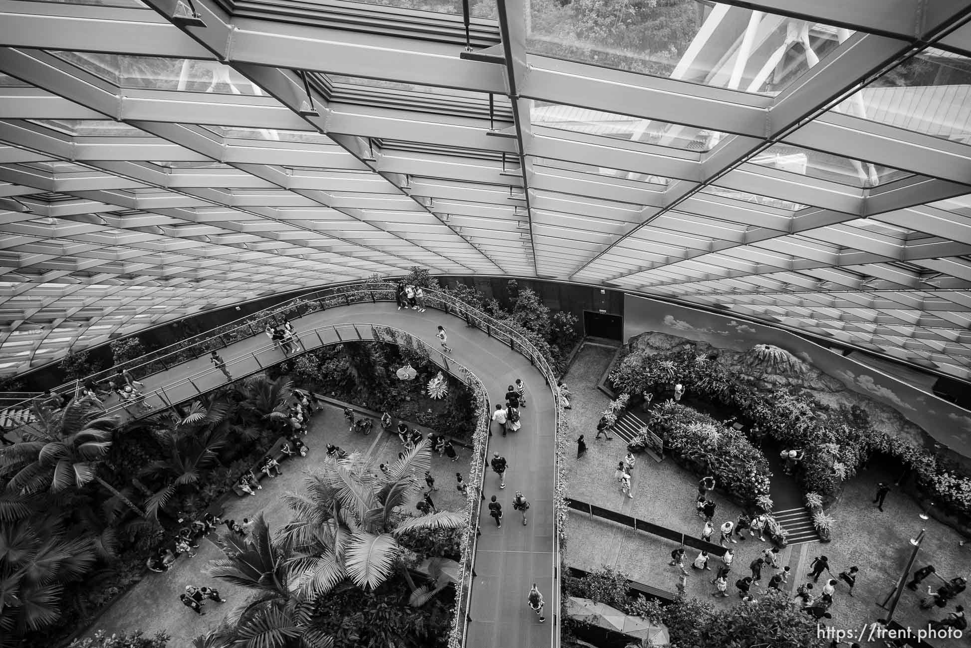 Cloud Forest, Singapore, July 21, 2019