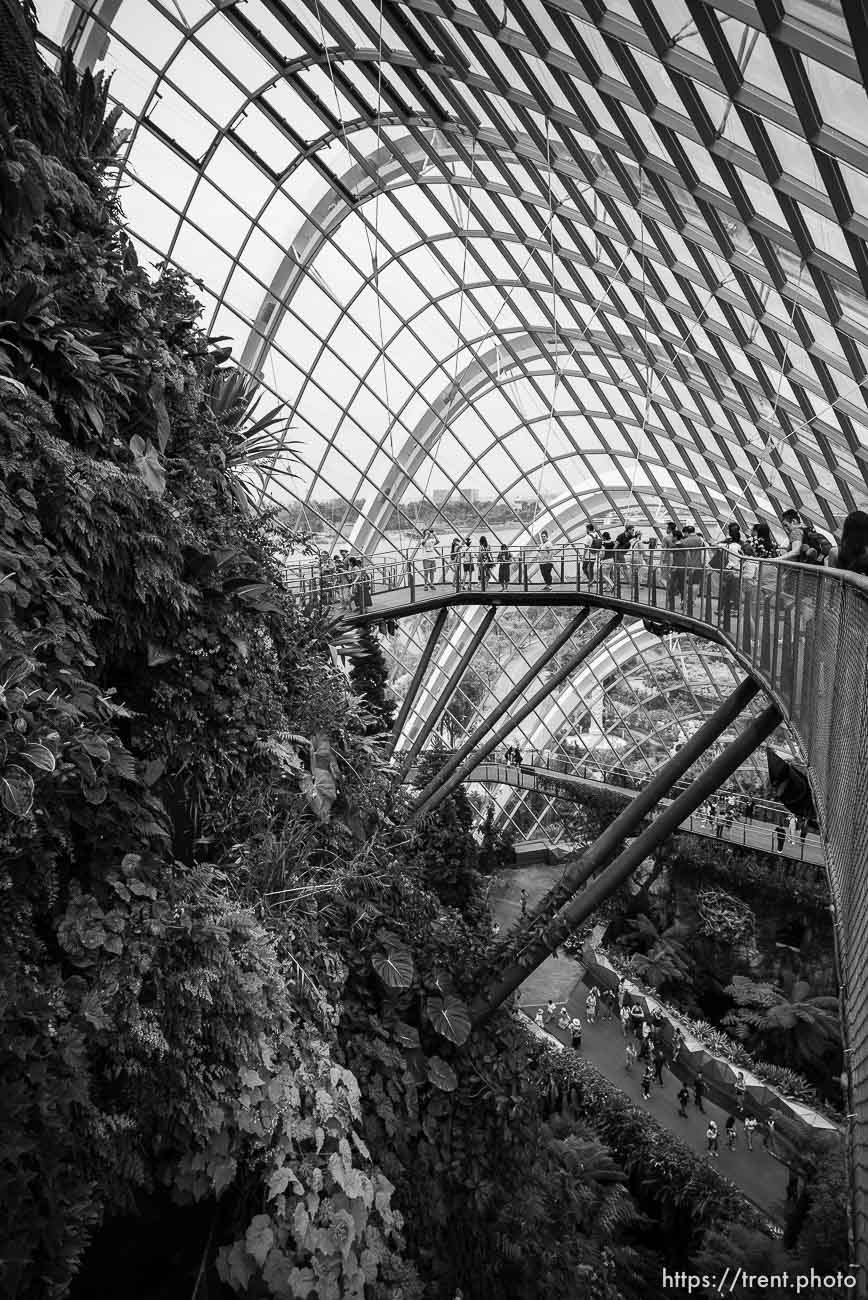 Cloud Forest, Singapore, July 21, 2019