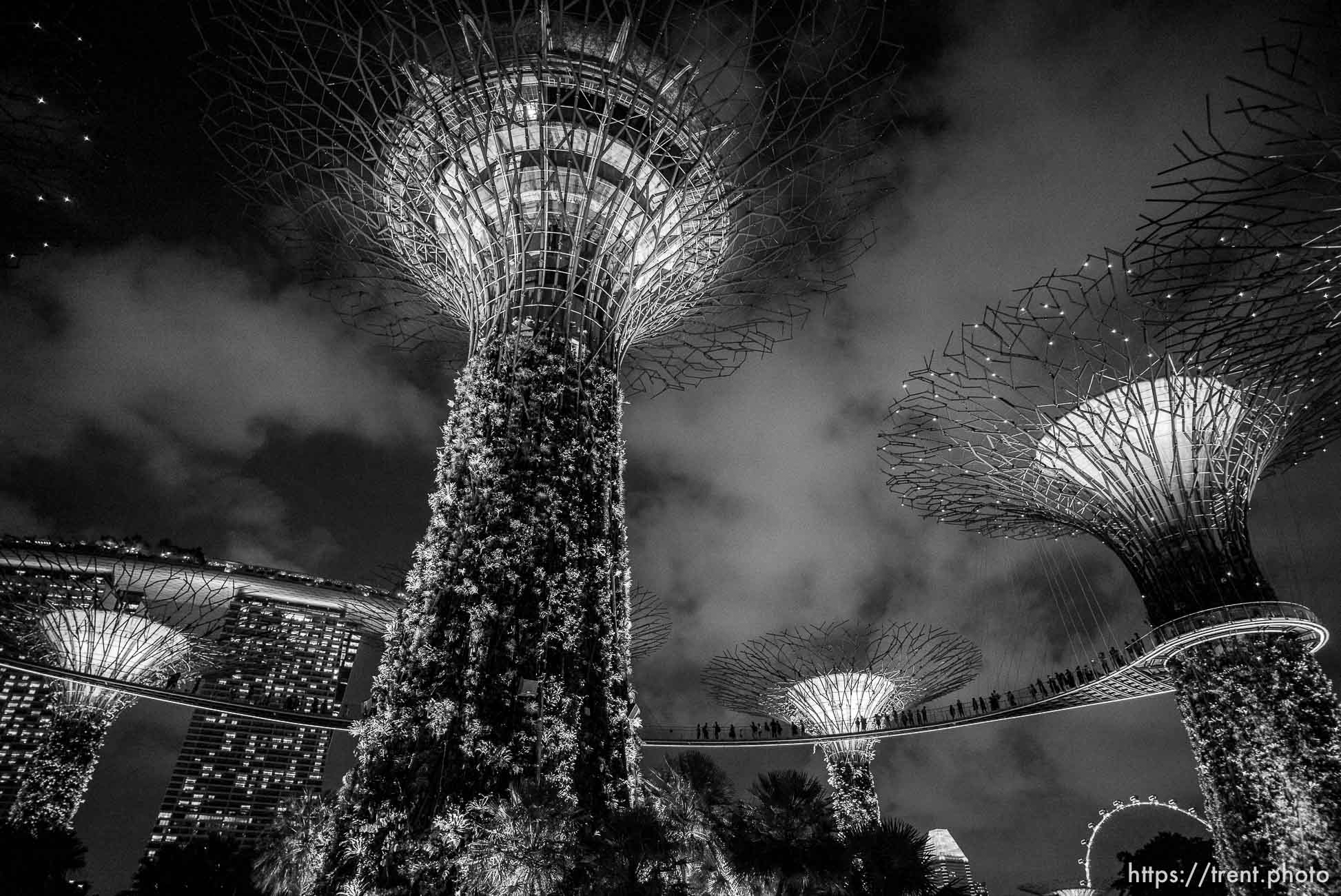 Gardens at the Bay light show, Singapore, July 26, 2019