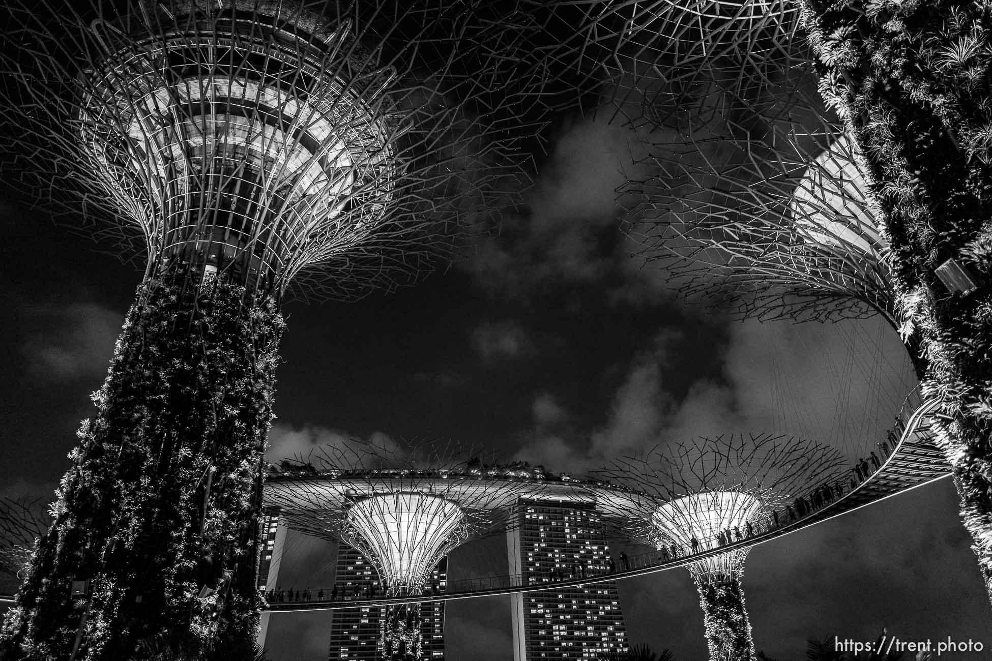 Gardens at the Bay light show, Singapore, July 26, 2019