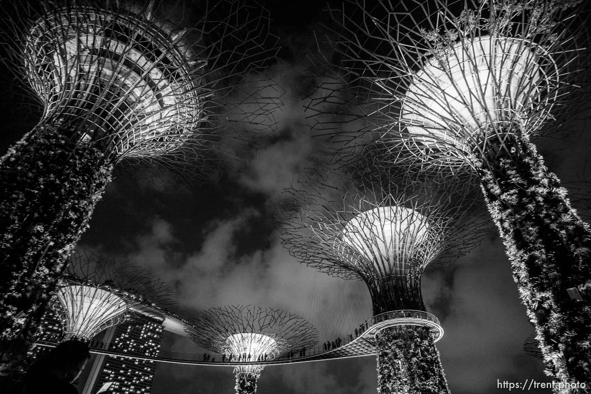 Gardens at the Bay light show, Singapore, July 26, 2019