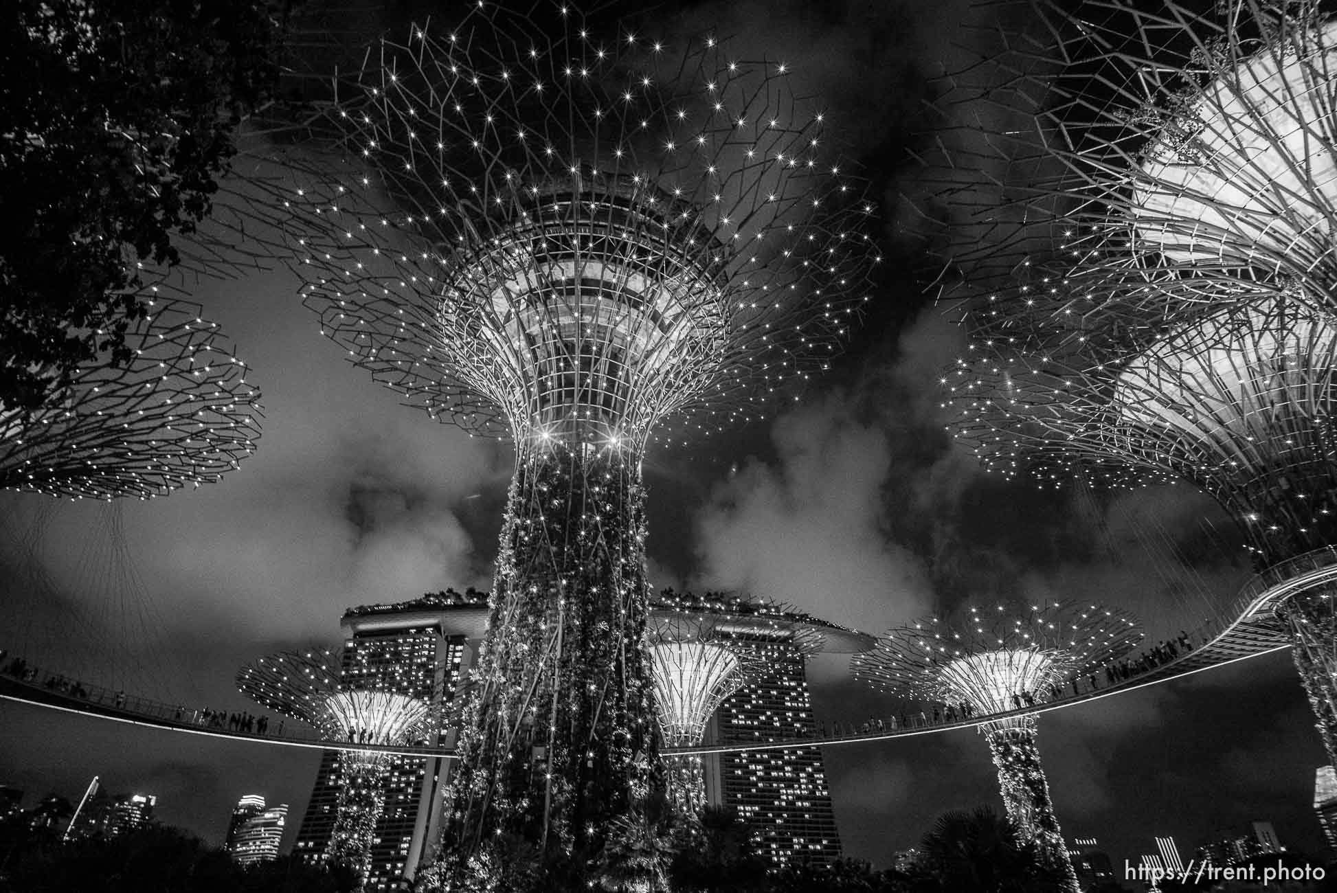 Gardens at the Bay light show, Singapore, July 26, 2019
