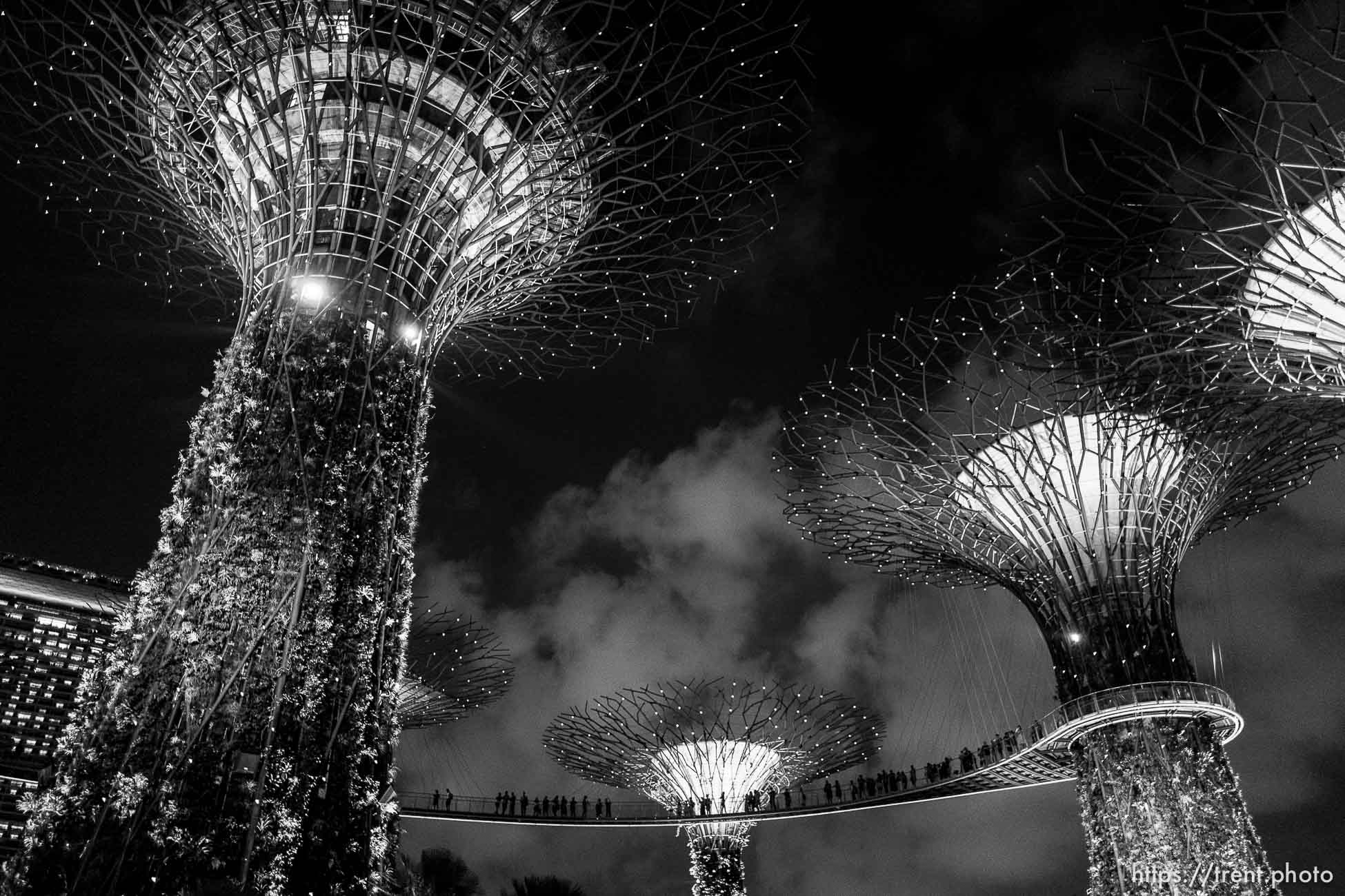 Gardens at the Bay light show, Singapore, July 26, 2019