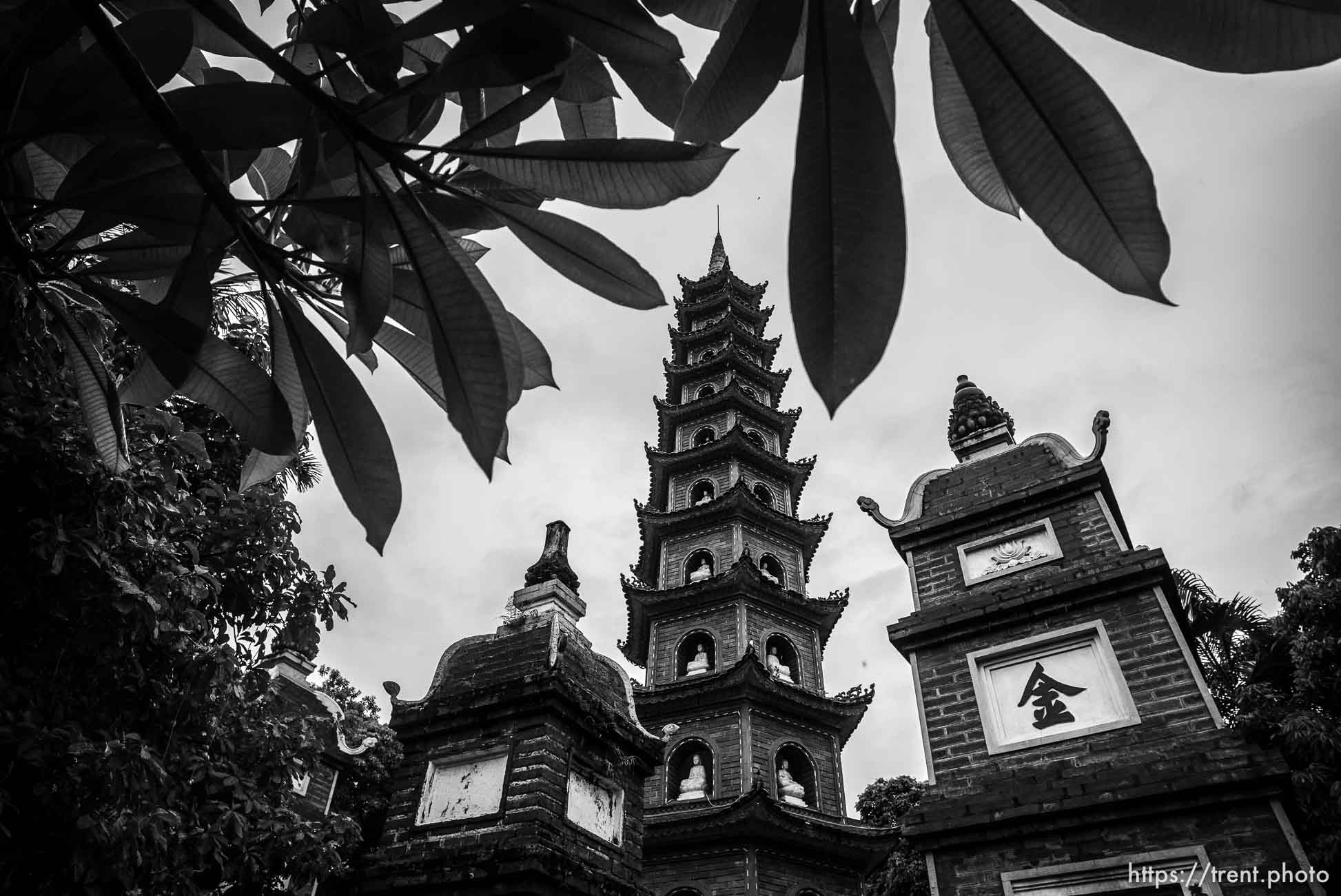 Tran Quoc Pagoda, Hanoi, August 2, 2019