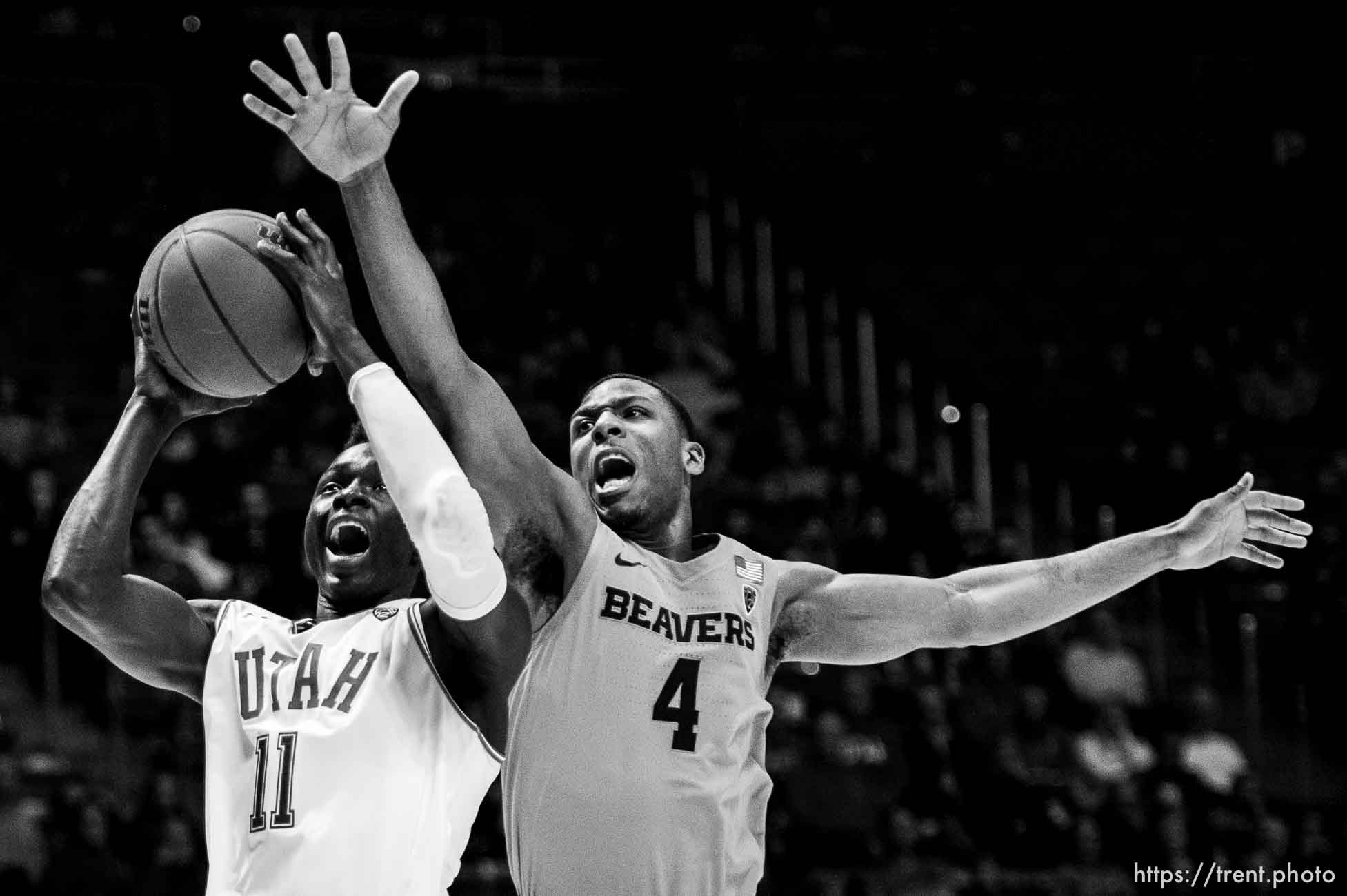 (Trent Nelson  |  The Salt Lake Tribune) 
Utah Utes guard Both Gach (11), defended by Oregon State Beavers forward Alfred Hollins (4) as the University of Utah hosts Oregon State, NCAA men's basketball in Salt Lake City on Thursday, Jan. 2, 2020.